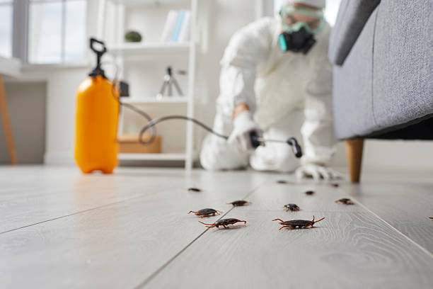 Commercial Kitchen Cockroach Control in Bala Cynwyd